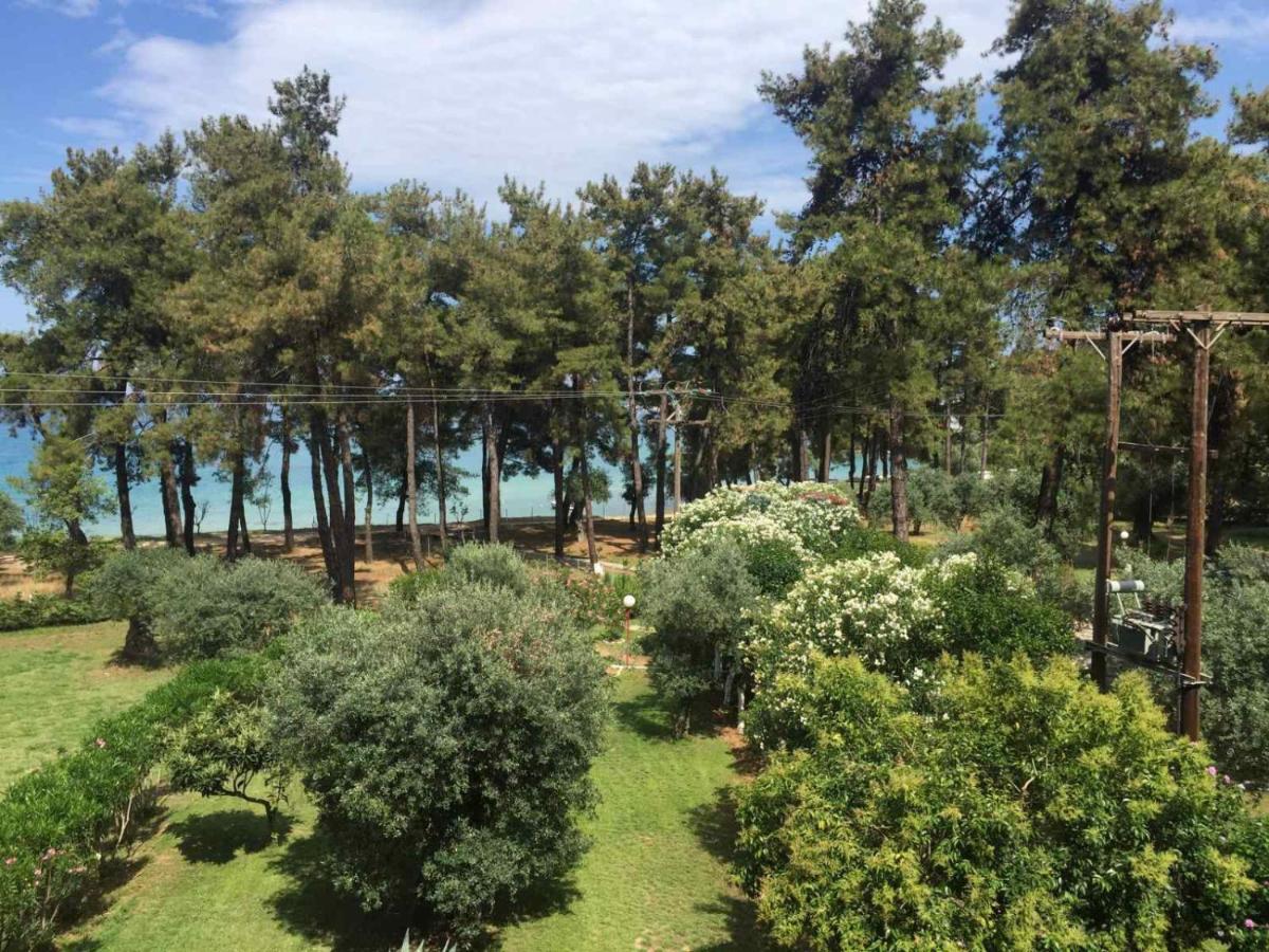 Nisteri Seaside Apartment Limenas  Ngoại thất bức ảnh